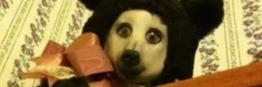 SI NO NOS SIGUEN LOS VOTOS NO CUENTAN‼️ banner