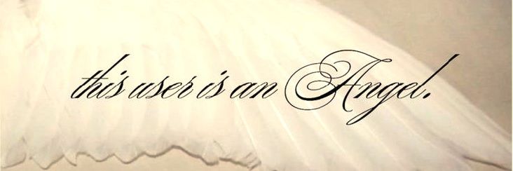 stupidella blogs# banner