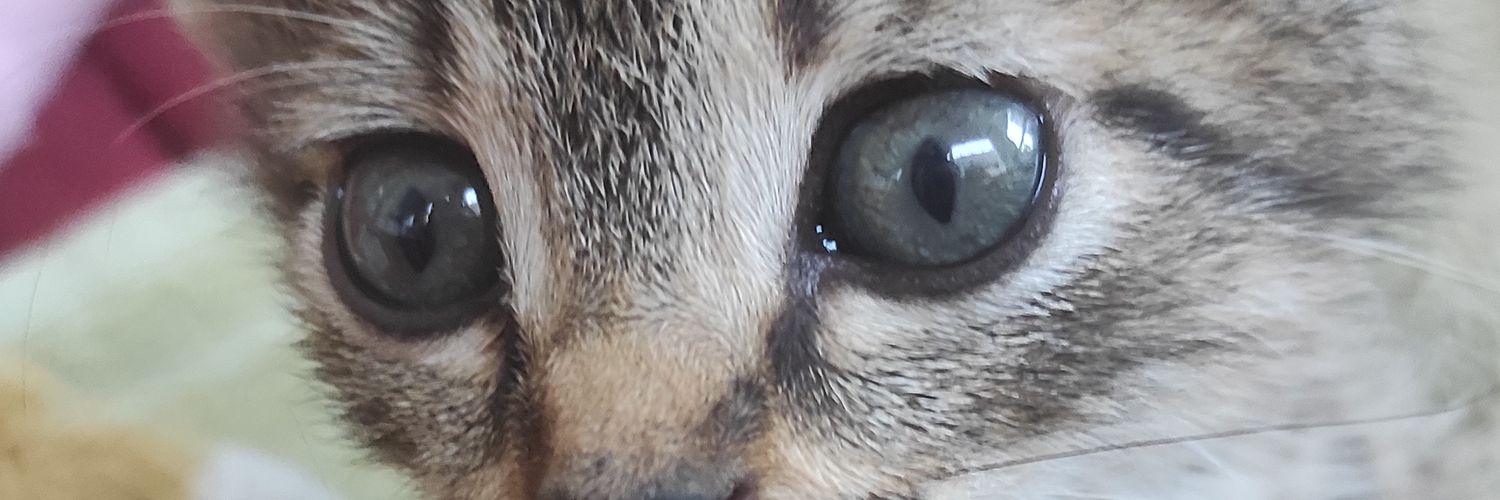 editcello's profile banner image