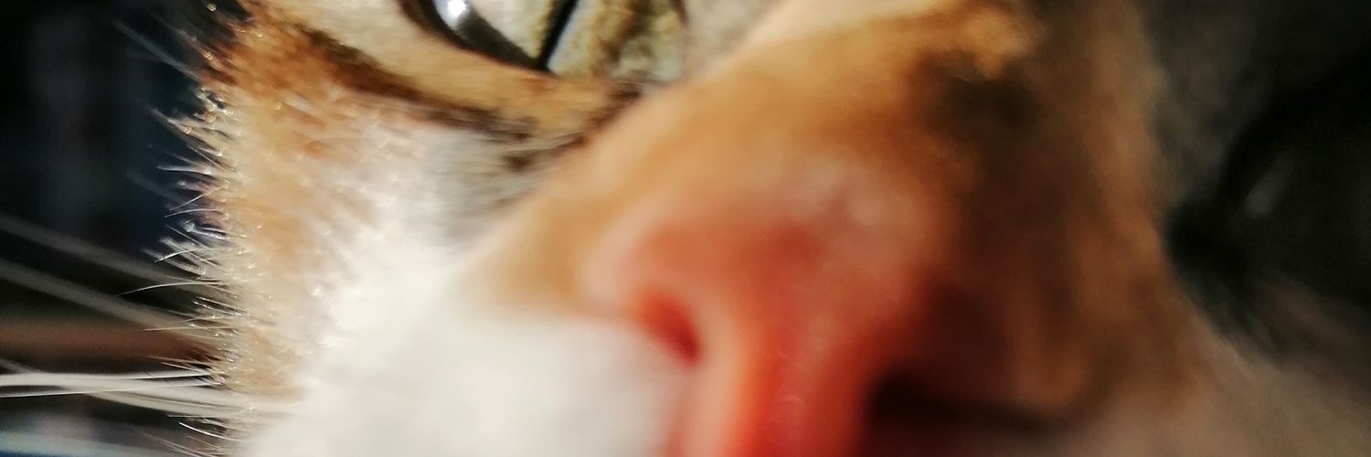 CGTriana99's profile banner image