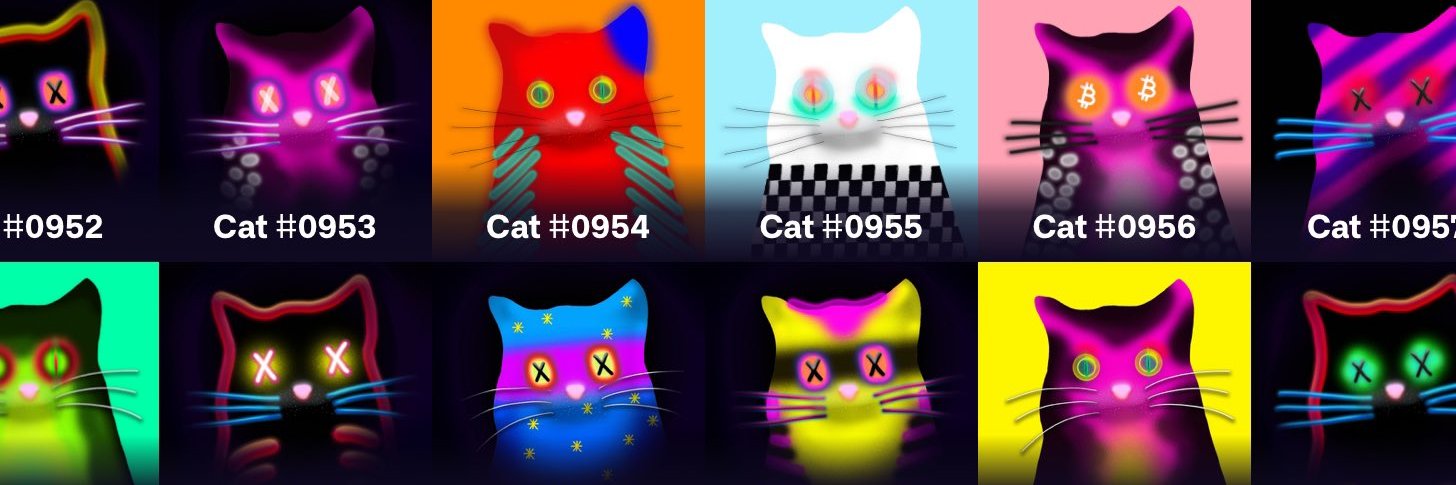 0xKasim | 880.btc | BIP-420 🐱 banner