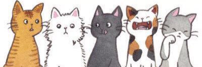 wagiomuts's profile banner image