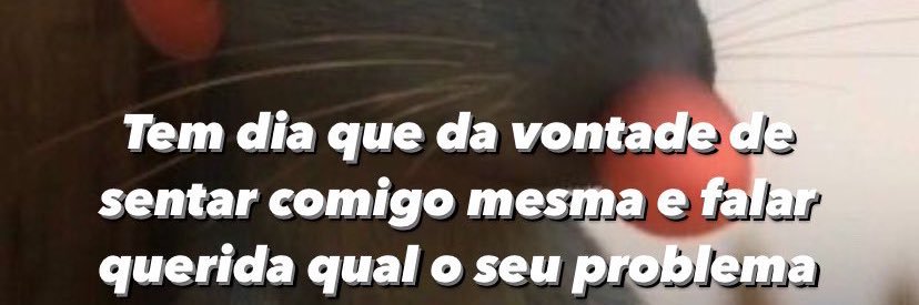 Dri 🧙🏻‍♀️ banner