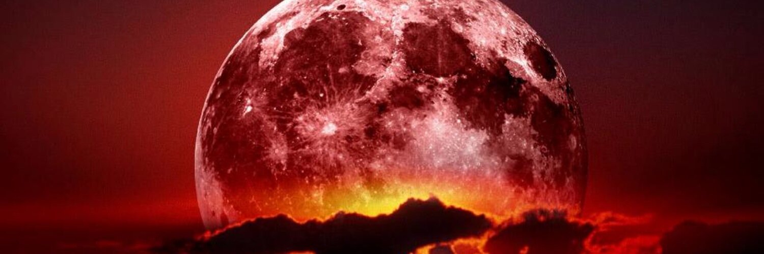 apndrgn's profile banner image