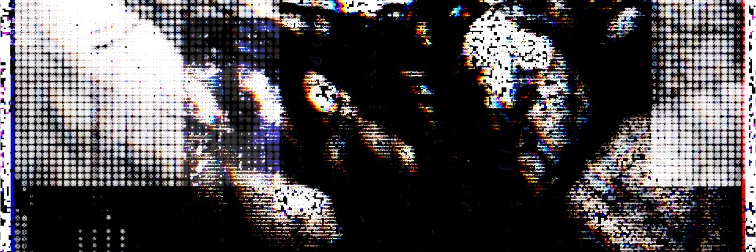 seraph_engine's banner