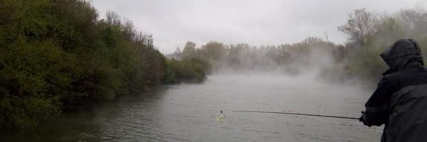 ward433746 Profile Banner