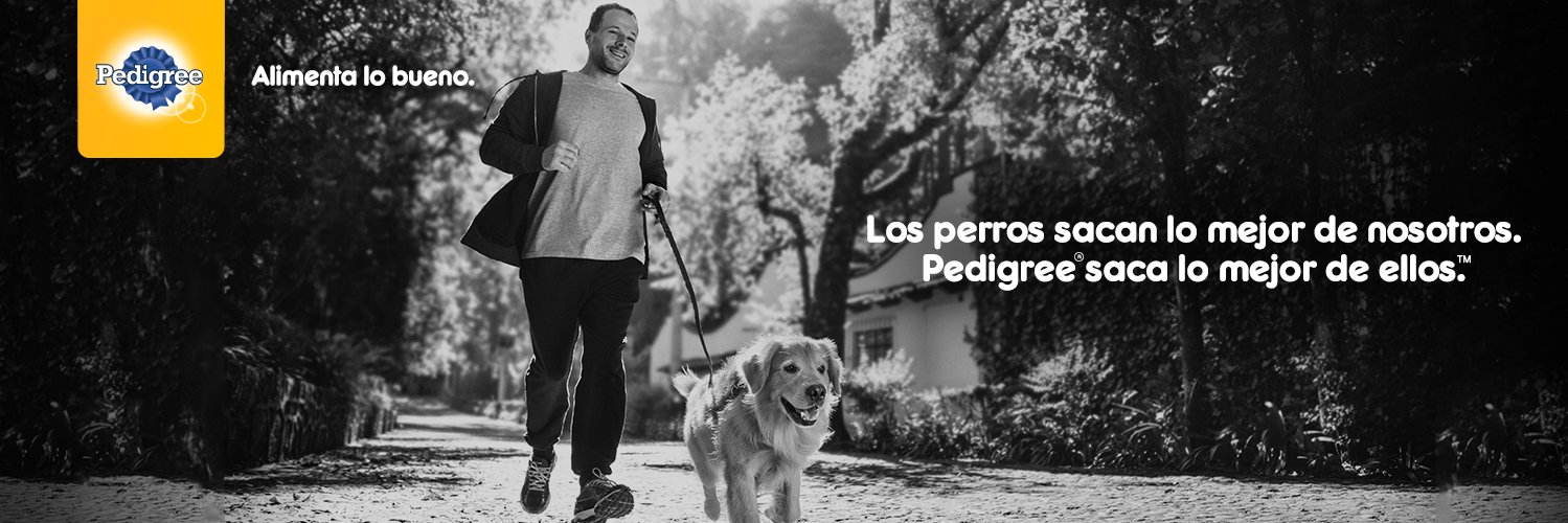 PEDIGREE® Chile banner