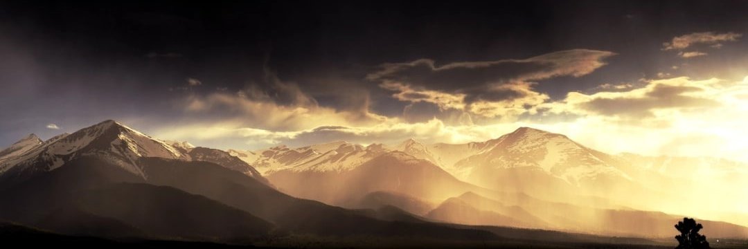 DandelionPoe's profile banner image