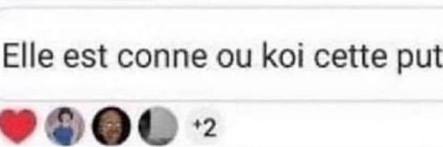 the real monkey banner