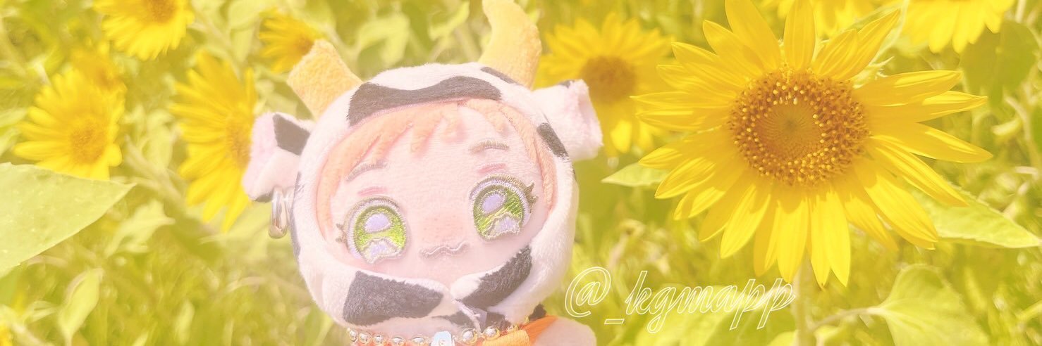 こぐま あぴぽ banner