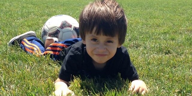 Alfredo Z banner