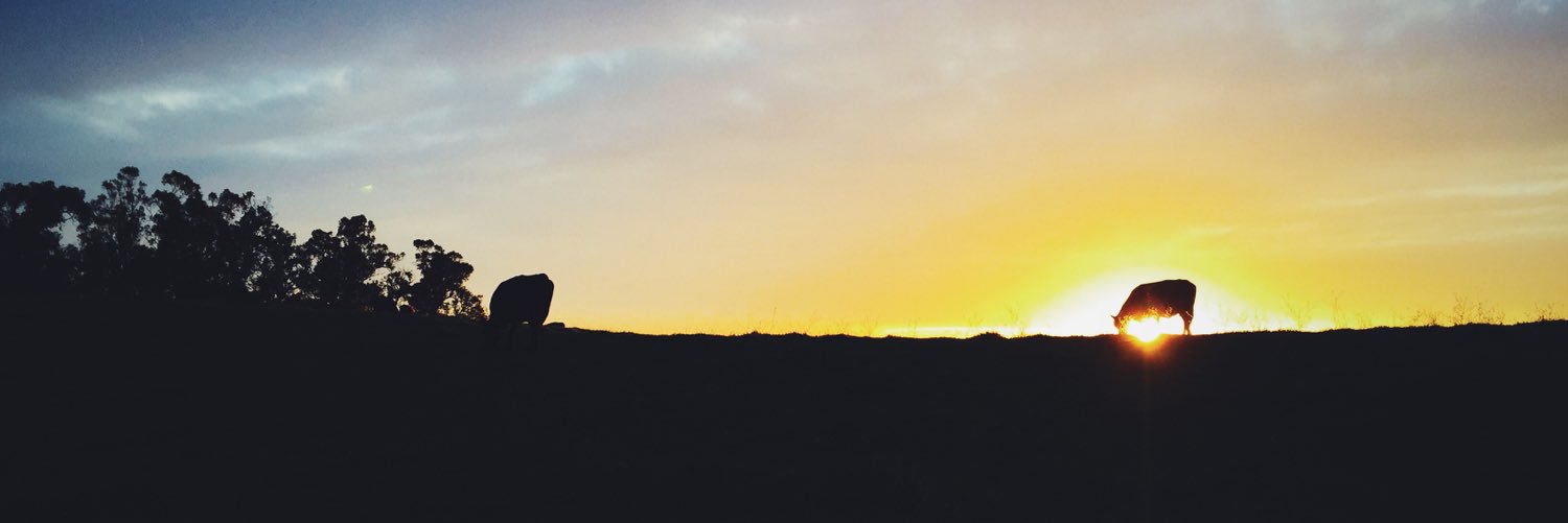 colinhuang's profile banner image