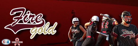FS Fire Gold Softball banner
