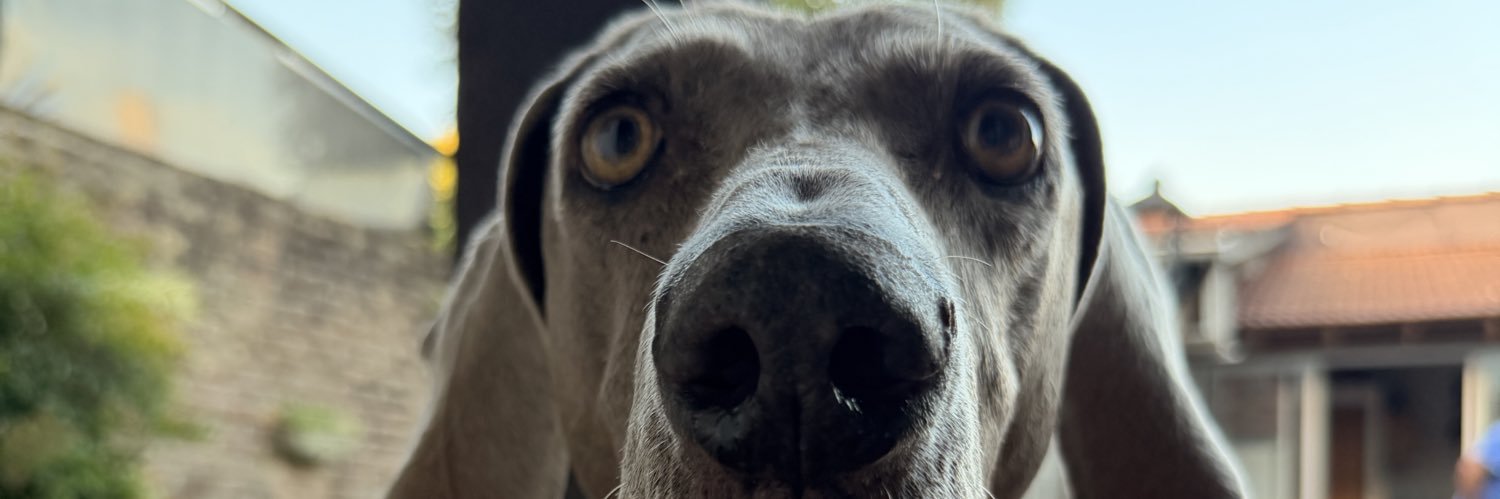 AgusMazzara's profile banner image