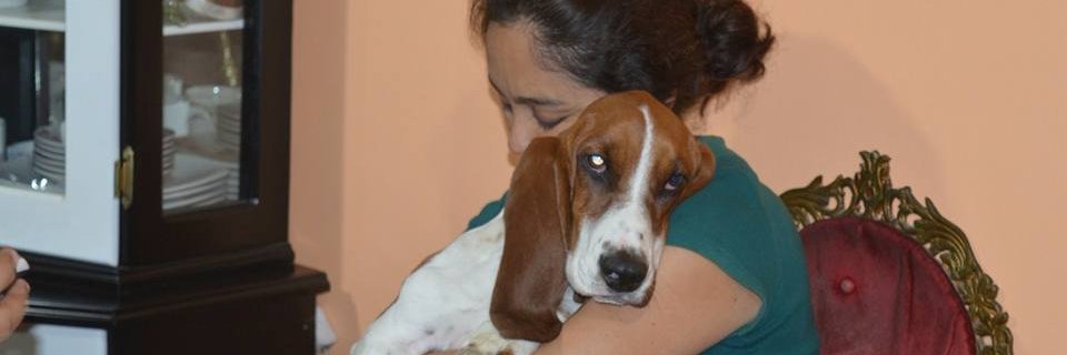 silviaarcos's profile banner image