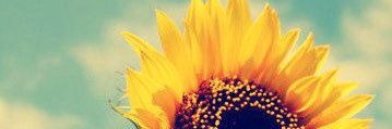 lifewithhayls's profile banner image