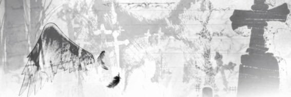 愛ﾒܓ 𝔰𝔢𝔞𝔫 banner