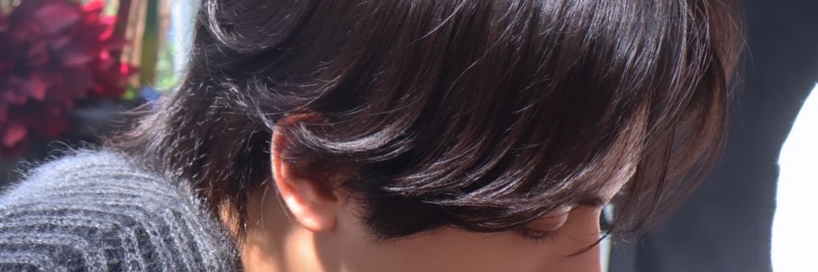 ho banner