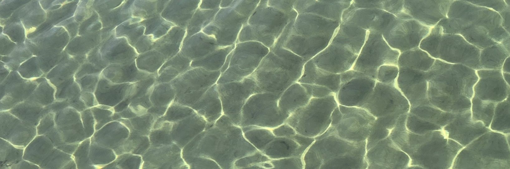 🔪⌒*( ơωơ)*⌒⚡ banner