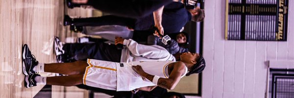 Trellhogue Profile Banner
