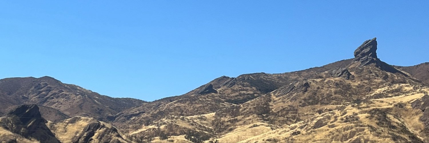 pomboti's profile banner image