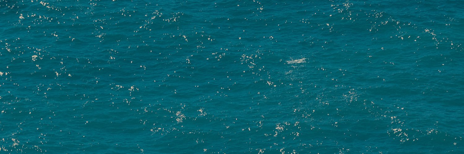 annaburnsy's profile banner image
