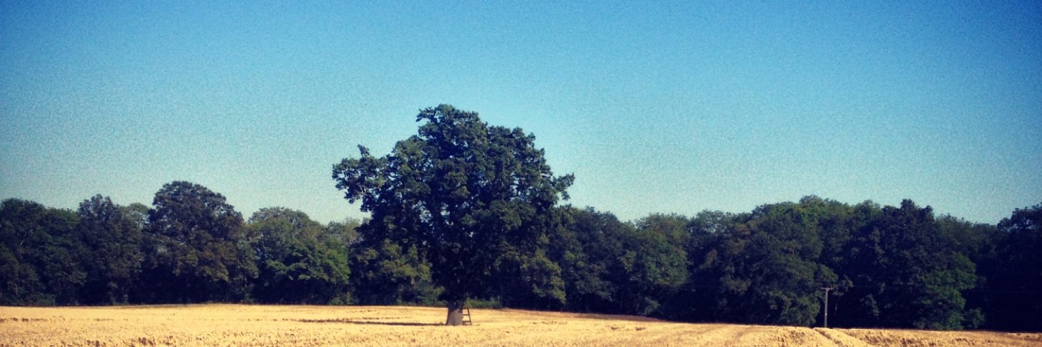 Benjamin Dell banner