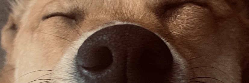 __AmyKelly's profile banner image