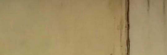 نَجِيِّة𓂆🎓 banner