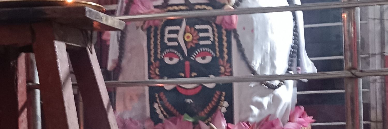 chauhanasothar's profile banner image