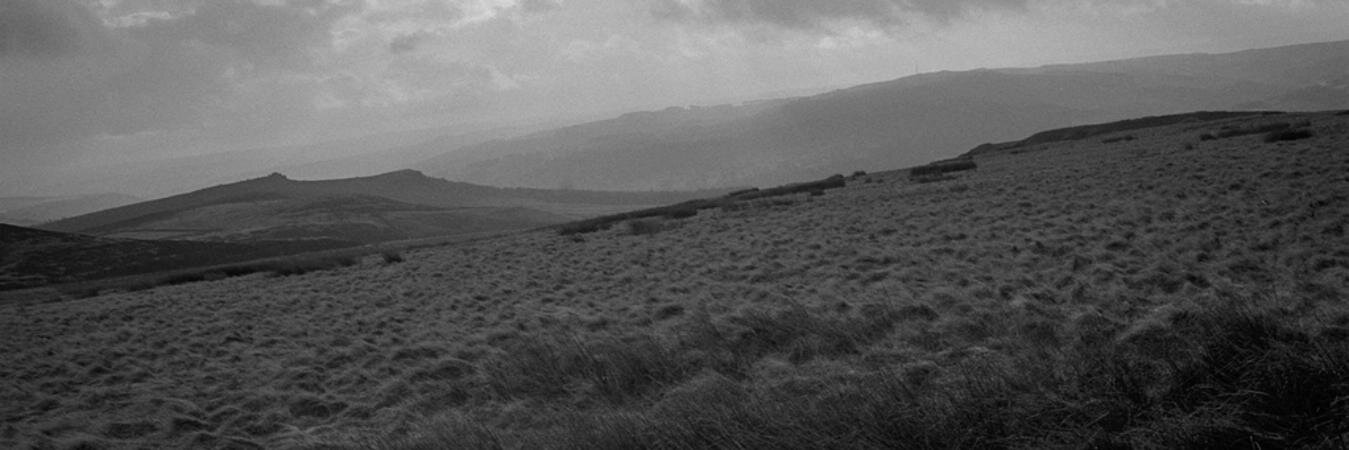 sbuckton's profile banner image