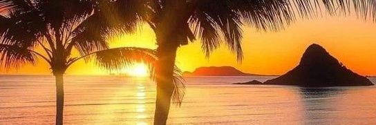 💥💖MoreBrett: Ring The Alarm🔥#CODERED🎯💞💥 banner