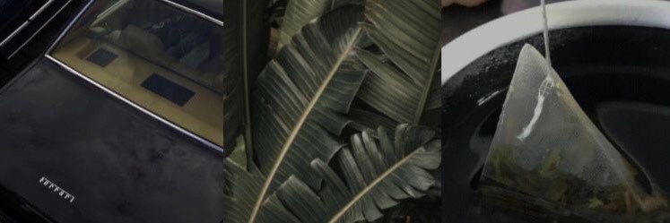 𝗡𝗜𝗖𝗛𝗢𝗟𝗔𝗦. banner