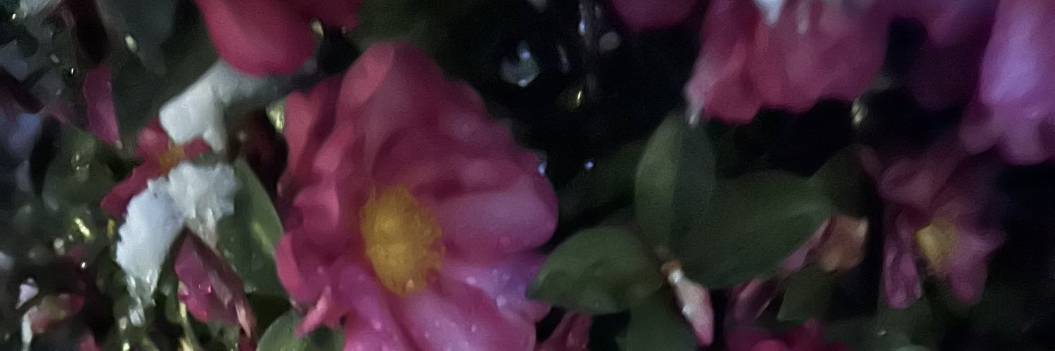 tya_pa73's profile banner image