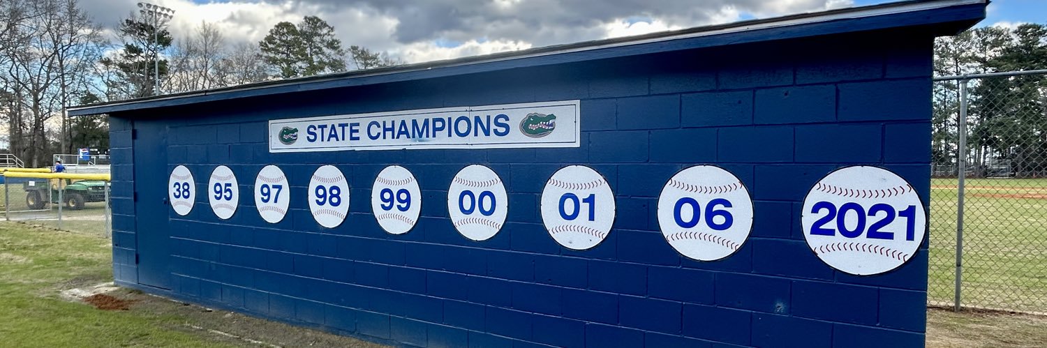 Lake View Baseball banner