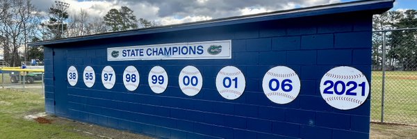 Lake View Baseball Profile Banner