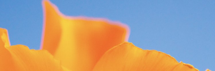 AKel4Real's profile banner image