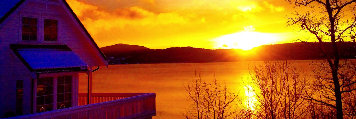 Camilla S. Tveit banner