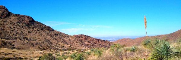 SarahSmithNM Profile Banner