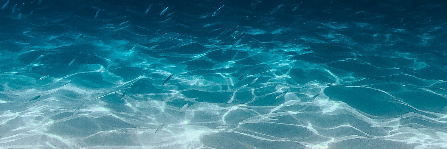starllyfish's profile banner image