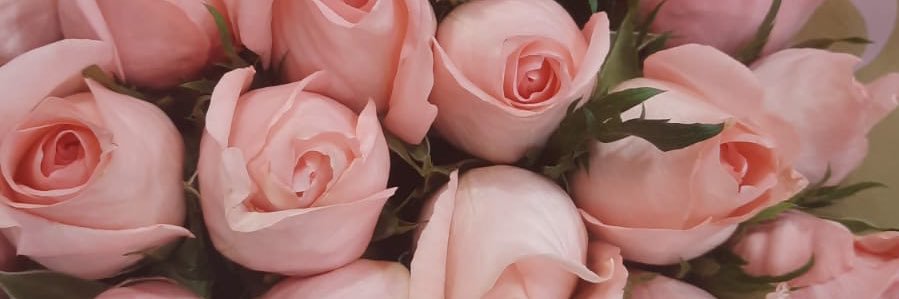 lupegoadalupe's profile banner image
