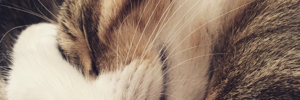 DesportesJ's profile banner image