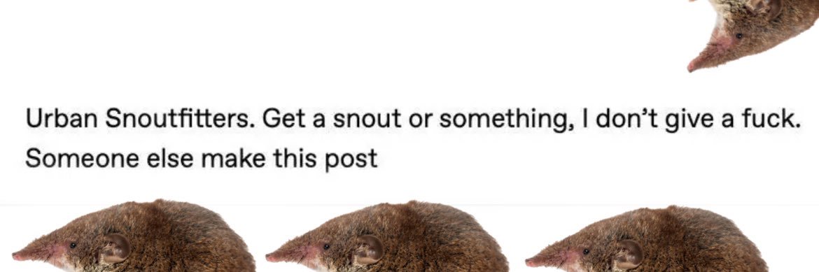 Monroe (they/them) banner