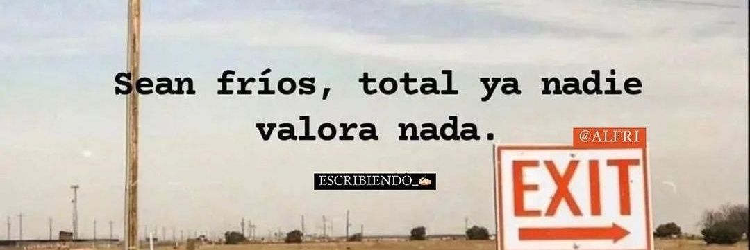 Yo no vote por el Gato banner