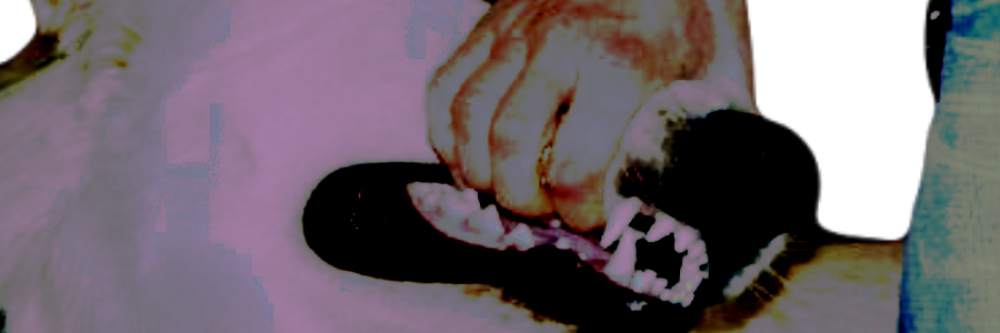 ◟ ‎ 🩸 𓈒 ‎ ‎ ‎ 𝒍𝙰 ‎ ⟢ 𝐇𝙰𝚁꒒𝙴͜͡𝚀𝚄͟𝒊𝙽 . ⟊'s banner