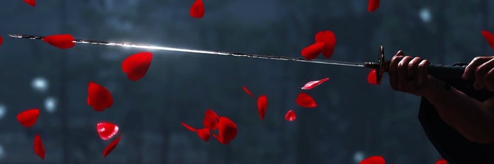 clairepookield's profile banner image