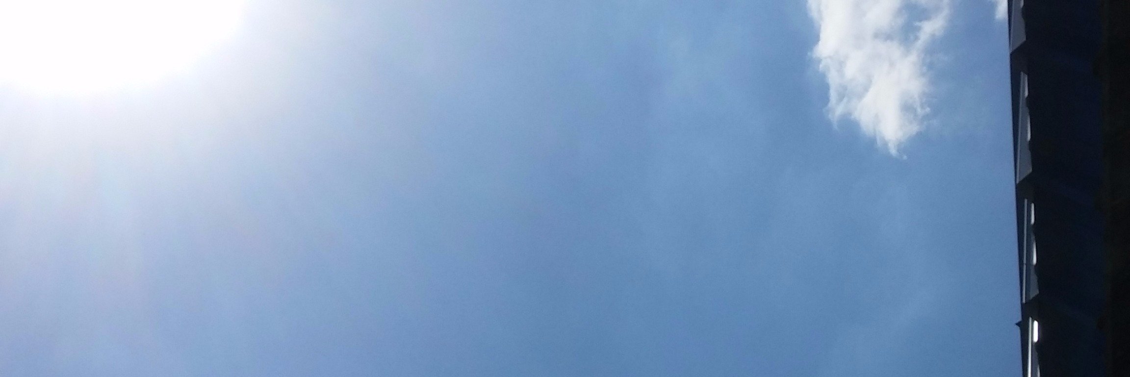vispa's profile banner image