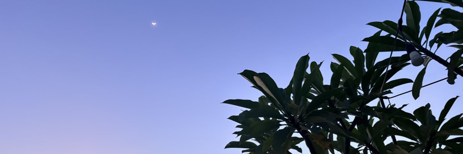 CFatresia's profile banner image