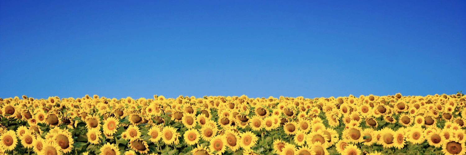 georgierae's profile banner image