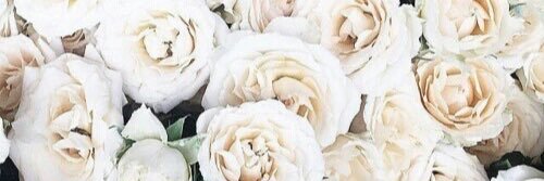 aboutcharline's profile banner image